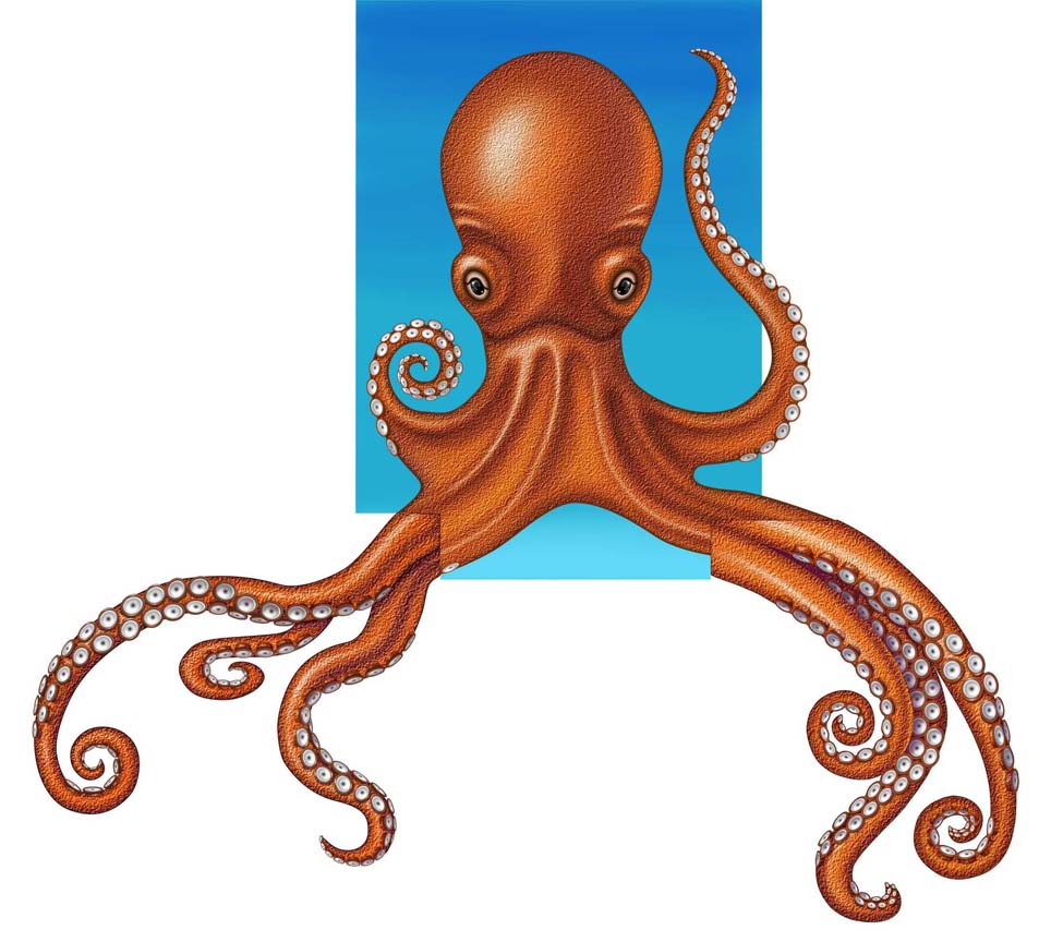 How I Made a 3-Storey Octopus